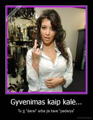 Gyvenimas kaip kalė... - Tu jį "darai" arba jis tave "padarys"