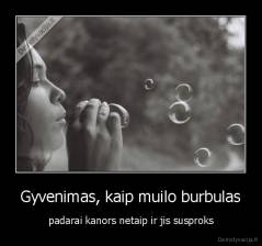 Gyvenimas, kaip muilo burbulas - padarai kanors netaip ir jis susproks