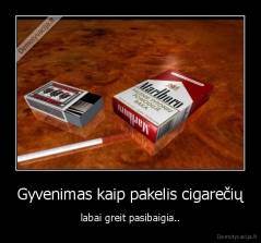 Gyvenimas kaip pakelis cigarečių - labai greit pasibaigia..