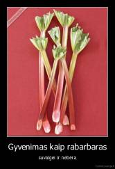 Gyvenimas kaip rabarbaras - suvalgei ir nebėra