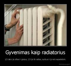 Gyvenimas kaip radiatorius - 1/3 laiko jis siltas ir grazus, 2/3 jis tik saltas, sunkus ir jo net nepastebim.
