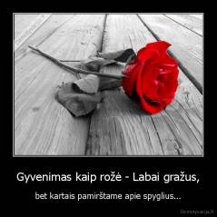 Gyvenimas kaip rožė - Labai gražus, - bet kartais pamirštame apie spyglius...
