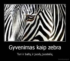 Gyvenimas kaip zebra - Turi ir baltų ir juodų juostelių