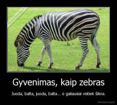 Gyvenimas, kaip zebras - Juoda, balta, juoda, balta... o galiausiai vistiek šikna.
