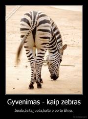 Gyvenimas - kaip zebras - Juoda,balta,juoda,balta o po to šikna.