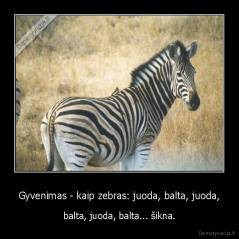 Gyvenimas - kaip zebras: juoda, balta, juoda, - balta, juoda, balta... šikna.