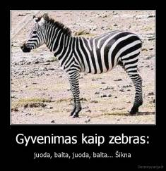 Gyvenimas kaip zebras: - juoda, balta, juoda, balta... Šikna