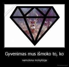 Gyvenimas mus išmoko to, ko - nemokina mokykloje