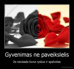 Gyvenimas ne paveikslelis - Jis nevisada buna ryskus ir spalvotas