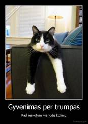 Gyvenimas per trumpas - Kad ieškotum vienodų kojinių