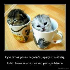 Gyvenimas pilnas negalinčių apsiginti mažylių, - todėl Dievas sukūrė mus kad jiems padėtume