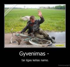 Gyvenimas -  - tai ilgas kelias namo.