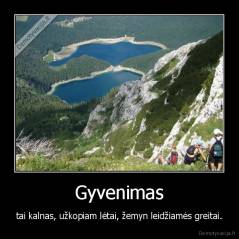 Gyvenimas - tai kalnas, užkopiam lėtai, žemyn leidžiamės greitai.