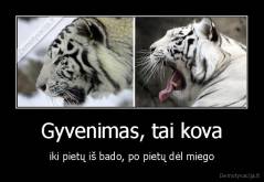 Gyvenimas, tai kova - iki pietų iš bado, po pietų dėl miego