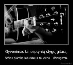 Gyvenimas tai septynių stygų gitara, - šešios skamba skausmu ir tik viena – džiaugsmu.