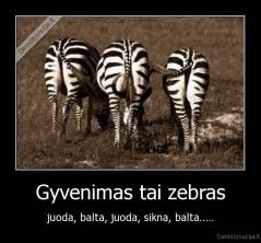 Gyvenimas tai zebras - juoda, balta, juoda, sikna, balta.....