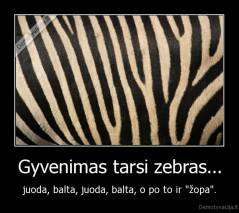 Gyvenimas tarsi zebras... - juoda, balta, juoda, balta, o po to ir "žopa".