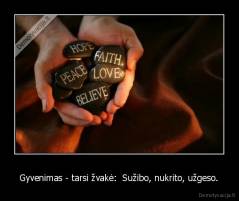 Gyvenimas - tarsi žvakė:  Sužibo, nukrito, užgeso. - 