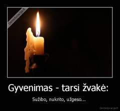 Gyvenimas - tarsi žvakė:  - Sužibo, nukrito, užgeso... 