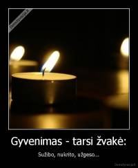 Gyvenimas - tarsi žvakė: - Sužibo, nukrito, užgeso...