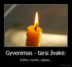 Gyvenimas - tarsi žvakė: - Sužibo, nukrito, užgeso...