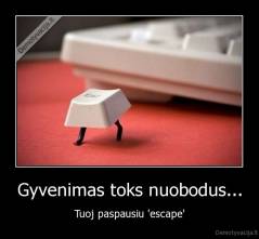 Gyvenimas toks nuobodus... - Tuoj paspausiu 'escape'