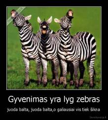 Gyvenimas yra lyg zebras - juoda balta, juoda balta,o galiausiai vis tiek šikna
