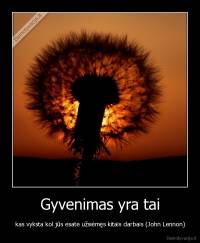 Gyvenimas yra tai - kas vyksta kol jūs esate užsiėmęs kitais darbais (John Lennon)