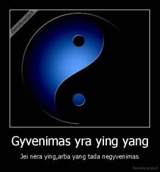 Gyvenimas yra ying yang - Jei nėra ying,arba yang tada negyvenimas