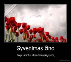 Gyvenimas žino - Kaip ispirti i skaudžiausią vietą