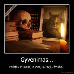 Gyvenimas... - Mylėjau ir katiną, ir vyrą, kuris jį užmušė...