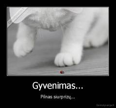 Gyvenimas... - Pilnas siurprizų...