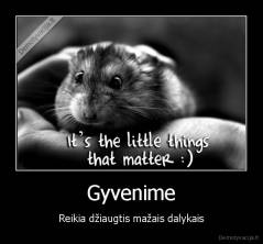 Gyvenime - Reikia džiaugtis mažais dalykais