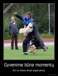 Gyvenime būna momentų - Kai ne viskas einasi pagal planą.