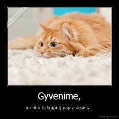 Gyvenime, - nu būk tu truputį paprastesnis...