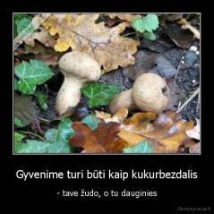 Gyvenime turi būti kaip kukurbezdalis - - tave žudo, o tu dauginies