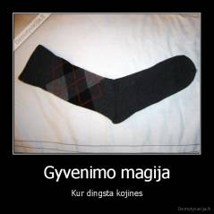 Gyvenimo magija - Kur dingsta kojines