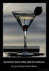Gyvenimo taurė būtų saldi iki koktumo, - jei į ją nekristų karčios ašaros.