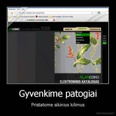 Gyvenkime patogiai - Pristatome sikinius kilimus
