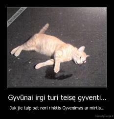 Gyvūnai irgi turi teisę gyventi... - Juk jie taip pat nori rinktis Gyvenimas ar mirtis...