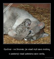 Gyvūnai - ne žmonės: jie visad myli savo motiną, - o pastaroji visad pateisina savo vardą.