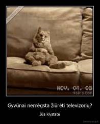 Gyvūnai nemėgsta žiūrėti televizorių? - Jūs klystate