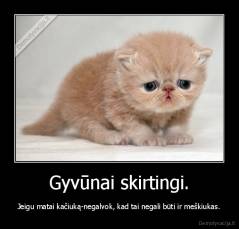 Gyvūnai skirtingi. - Jeigu matai kačiuką-negalvok, kad tai negali būti ir meškiukas.