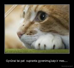 Gyvūnai tai pat  supranta gyvenimą,kaip ir mes.... - 