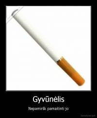 Gyvūnėlis - Nepamiršk pamaitinti jo