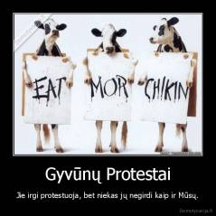 Gyvūnų Protestai - Jie irgi protestuoja, bet niekas jų negirdi kaip ir Mūsų.