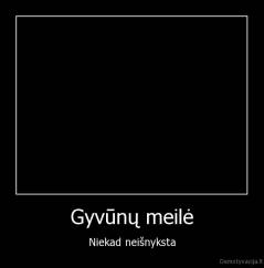 Gyvūnų meilė - Niekad neišnyksta