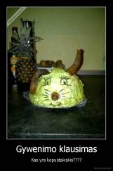 Gywenimo klausimas - Kas yra kopustakiskis????