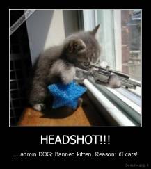 HEADSHOT!!! - ....admin DOG: Banned kitten. Reason: i8 cats!