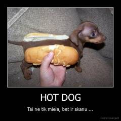 HOT DOG - Tai ne tik miela, bet ir skanu ...